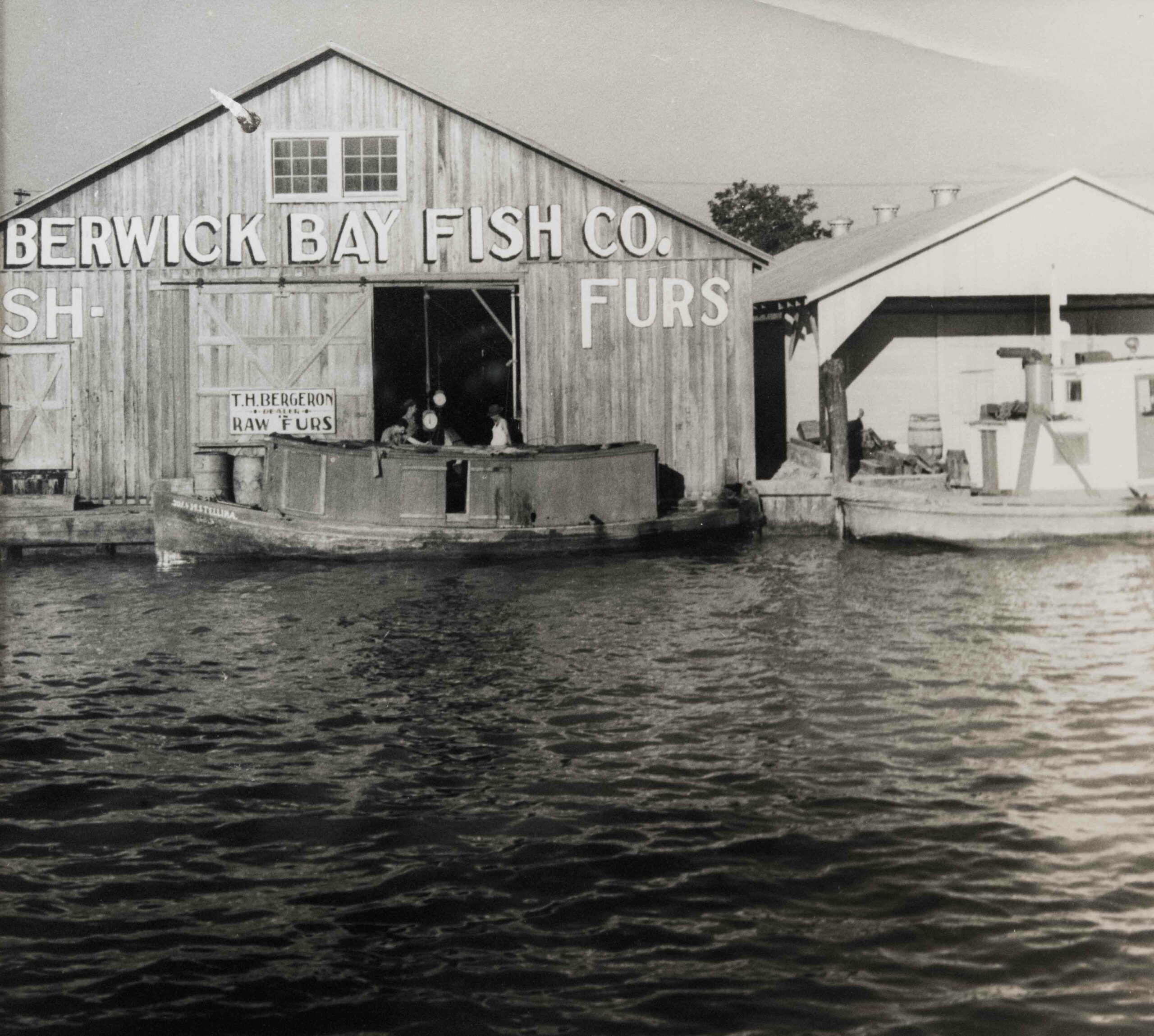 Berwick Bay Fish Co. & T.H. Bergeron Dealer of Raw Furs by Ramsey